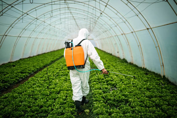 Professional Pest Control in Winter Garden, FL