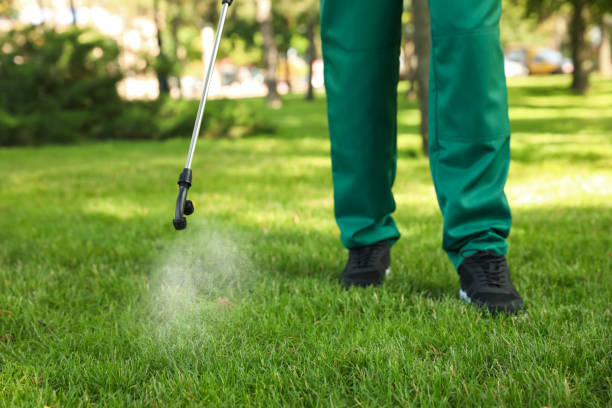 Best Pest Prevention Services  in Winter Garden, FL