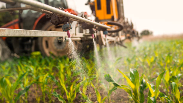 Best Mosquito Control Services  in Winter Garden, FL