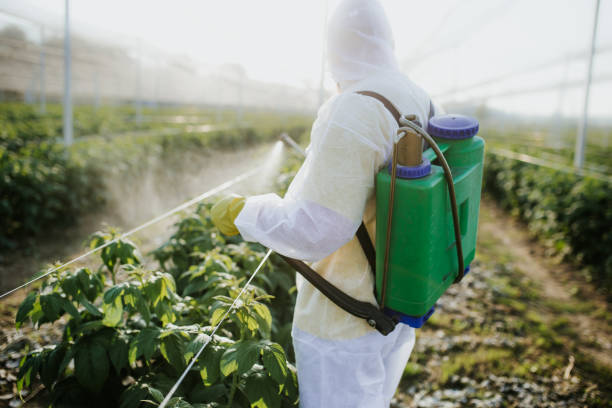Best Best Pest Control Companies  in Winter Garden, FL